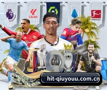 hit-qiuyouu.com.cn APP